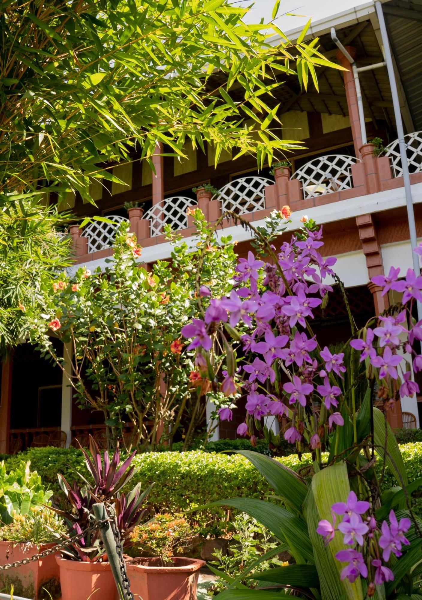 The Nest Inn Resort Masinagudi Extérieur photo
